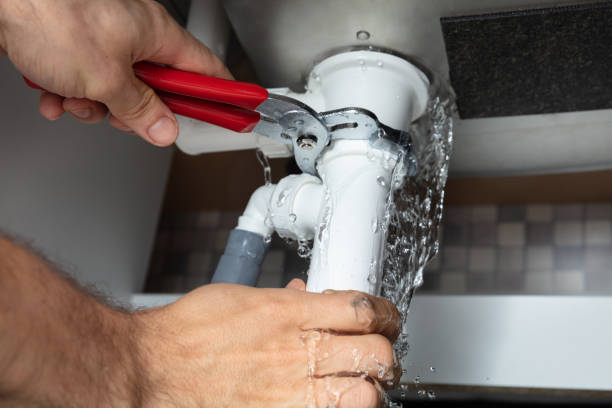 Best Mold removal after water damage  in Sonterra, TX