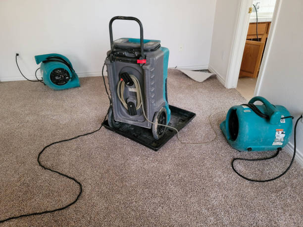 Best 24/7 water damage repair  in Sonterra, TX