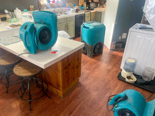 Best 24-hour water damage restoration  in Sonterra, TX