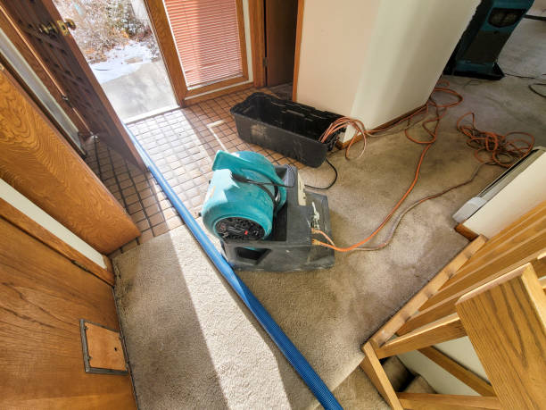  Sonterra, TX Water damage restoration Pros