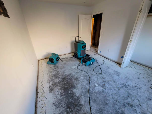 Best Water damage cleanup near me  in Sonterra, TX
