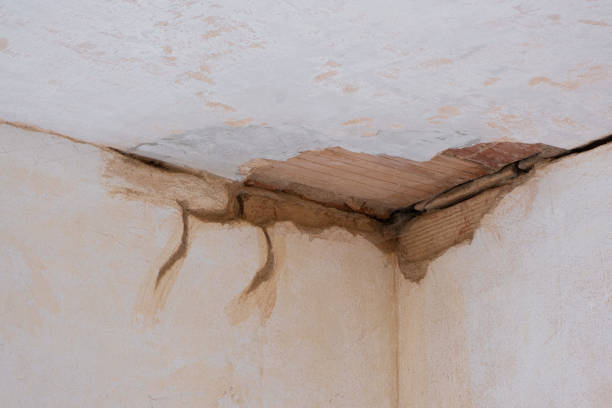 Best Water damage restoration experts  in Sonterra, TX