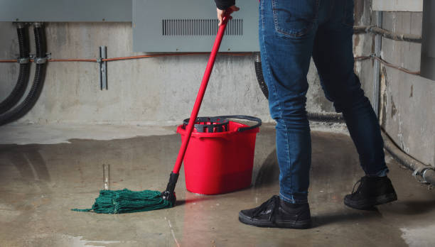 Best Water damage cleanup near me  in Sonterra, TX