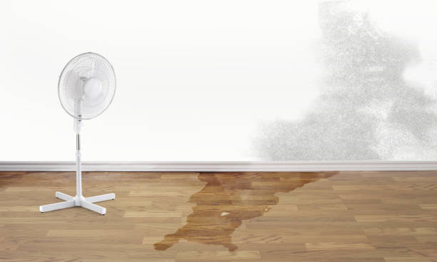 Best Carpet water damage restoration  in Sonterra, TX