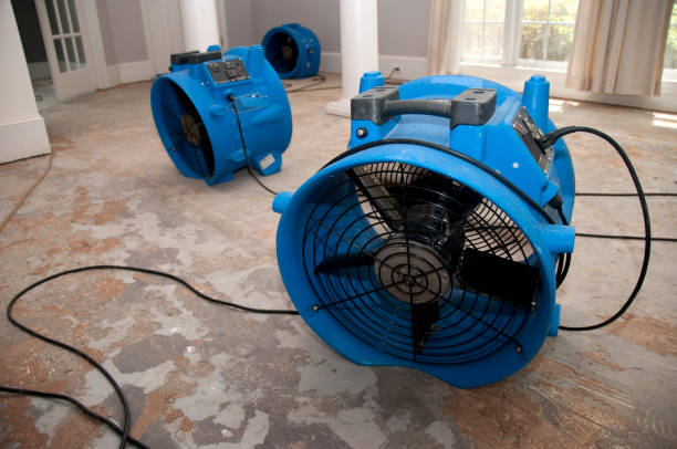 Best Water damage restoration services  in Sonterra, TX