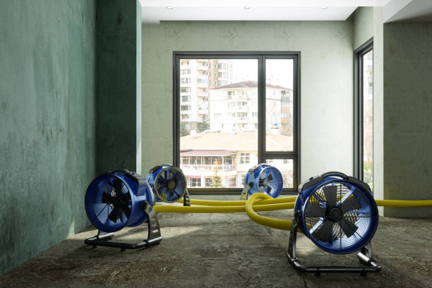 Water damage restoration insurance claims in Sonterra, TX