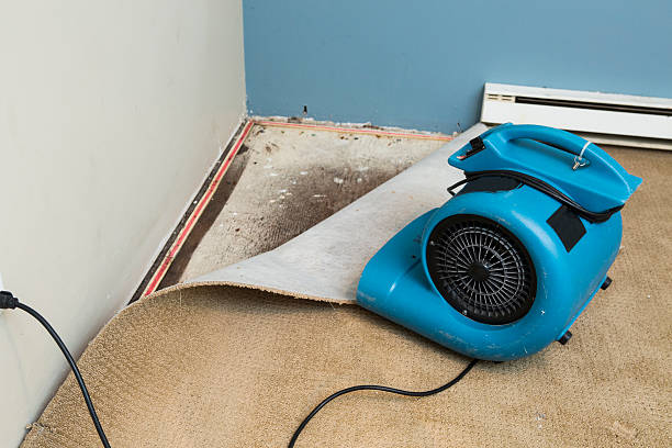 Best Fire Damage Restoration  in Sonterra, TX